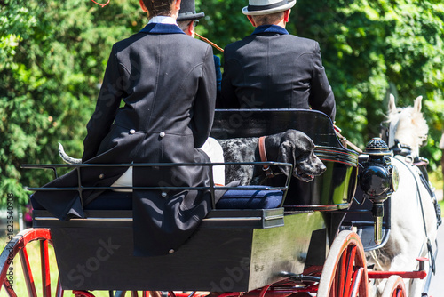 Horse-drawn carriage in a traditional driving competition, with coachman and passengers dressed in elegant interwar-era style outfits.