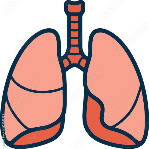 Stylized Human Lungs Illustration with Trachea and Bronchi in Pink and Blue