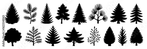 Black silhouette tree collection: pine, fir, spruce, cedar, larch. Monochrome vector illustration set of various conifer and evergreen tree shapes, branches, and foliage. Design elements for nature, f
