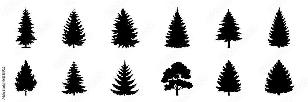 Fototapeta premium Set of twelve black silhouette illustrations of fir trees and one deciduous tree. Vector graphic collection, monochrome, isolated trees for design elements, nature themes, and holiday projects. Simple