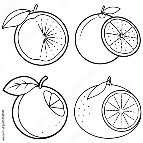 Wallpaper Mural Grapefruit Coloring Page - Outline Vector Illustration for Kids and Adults Torontodigital.ca