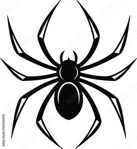 Vector art of detailed black silhouette of a spider isolated on white background