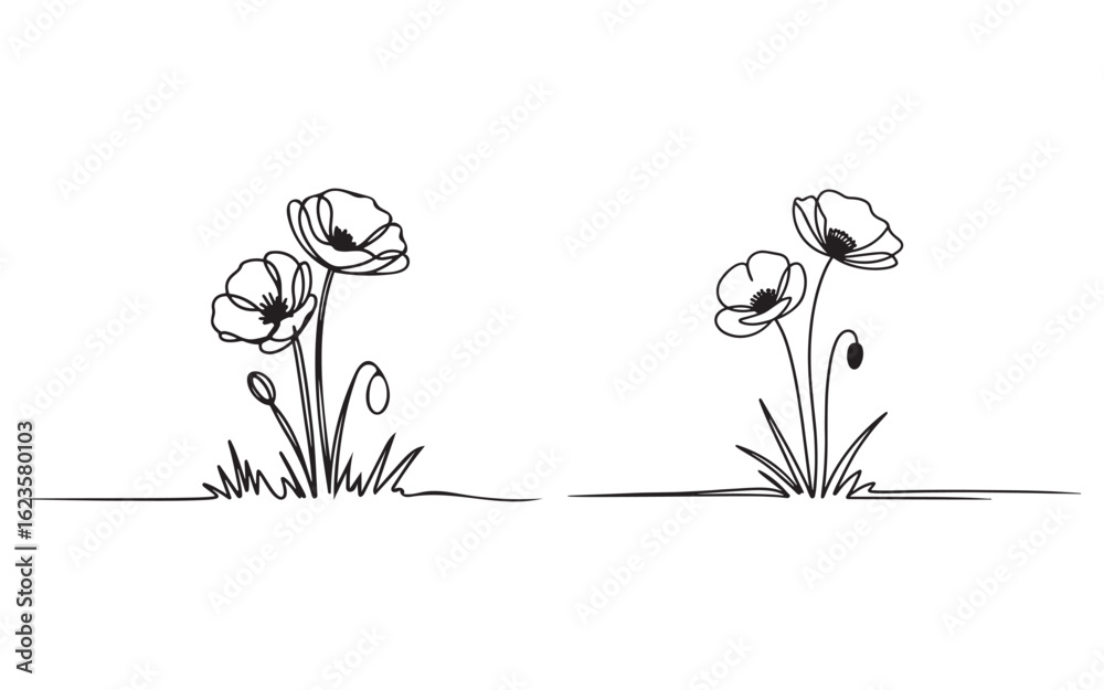Delicate poppy flowers with swirling stems and grass floral nature