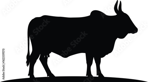 Silhouette of sacred bull indian zebu