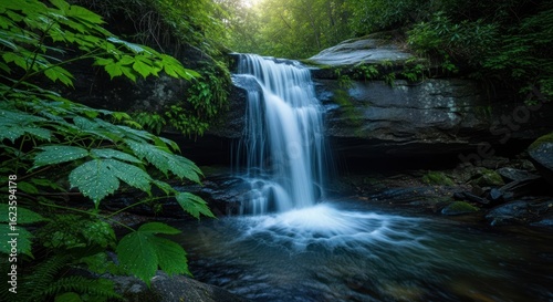 Lush waterfall cascading over dark rocks in a verdant forest.  Sunlight filters through trees
