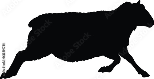 Black sheep silhouette running