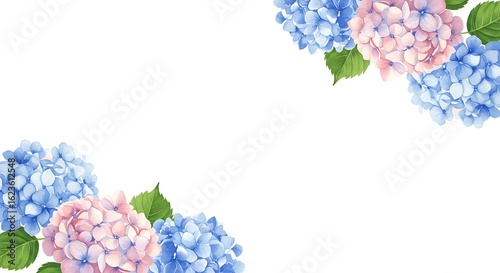 Softly painted watercolor hydrangea blossoms in delicate pink and blue hues forming a floral corner border
