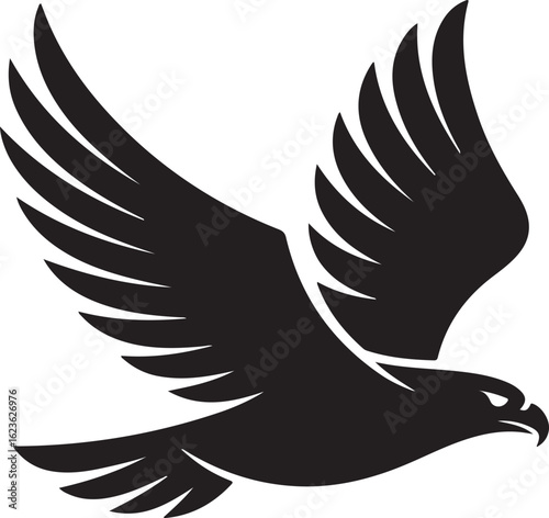 Black eagle soaring with wings spread wide bird flight