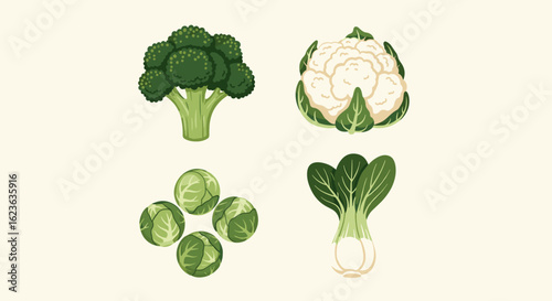 Illustration of broccoli, cauliflower, brussels sprouts and bok choy on a light background