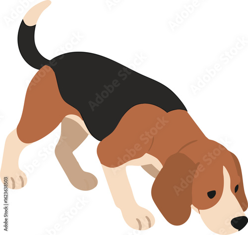 Isometric vector beagle sniffing ground with floppy ears, tracking posture, vector-friendly, isolated on white
