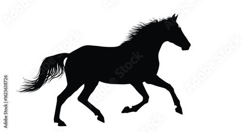 Galloping horse silhouette, equine power and grace, dynamic movement