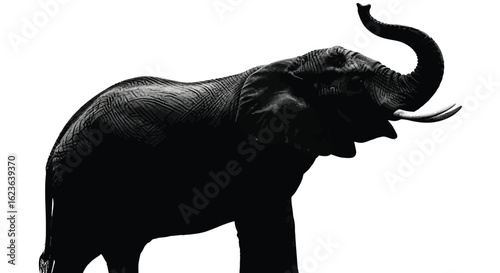 Majestic African Elephant with Raised Trunk, Symbolizing Power, Intelligence