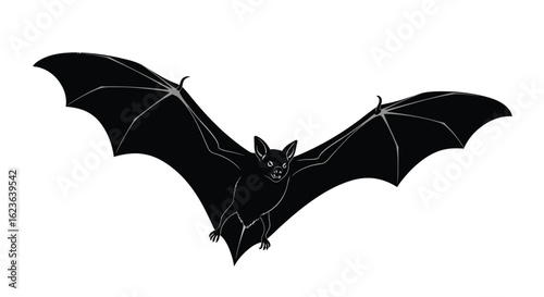 Black bat with outstretched wings, nocturnal creature for Halloween themed designs and spooky season projects, flying mammal with membranous wings