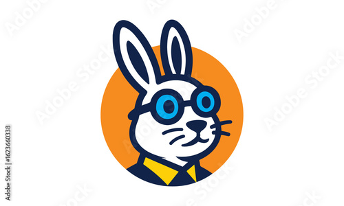 Rabbit Mascot, Bunny Mascot, Funky Rabbit Logo