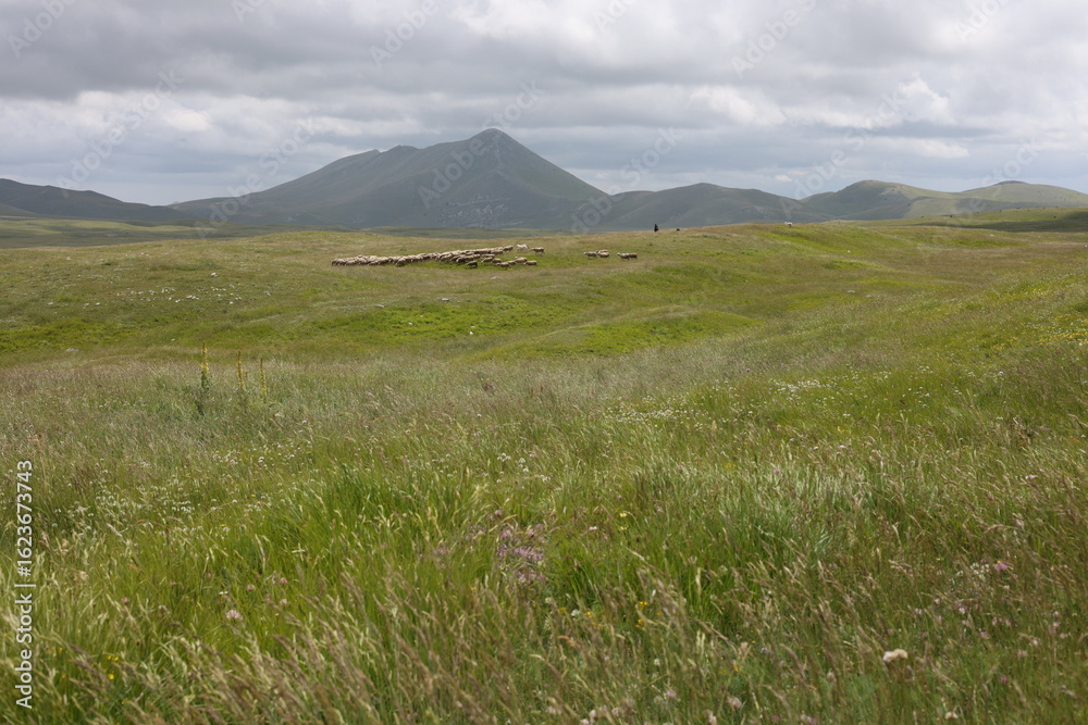 Fototapeta premium mountain landscape with clouds
