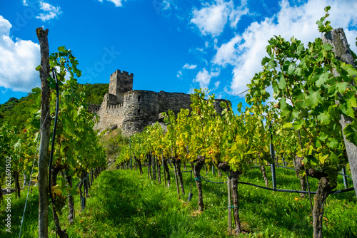Castle Hinterhaus in Spitz Wachau Austria with Danube river and vineyards