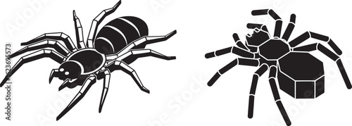 Silhouette vector two black spiders isolated on white background