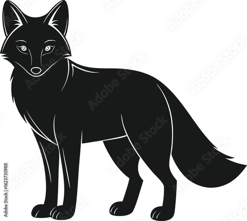 Black Silhouette Fox Standing Facing Forward on White Background animal wildlife