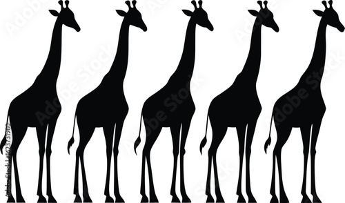 Five Black Silhouette Giraffes Standing in a Row on a White Background animal wildlife