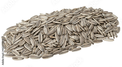 Isolated Pile of Sunflower Seeds