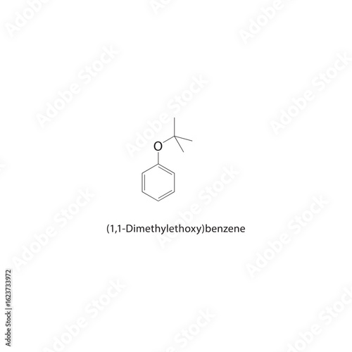 (1,1-Dimethylethoxy)benzene skeletal structure. Ether compound schematic illustration. Simple diagram, chemical formula.