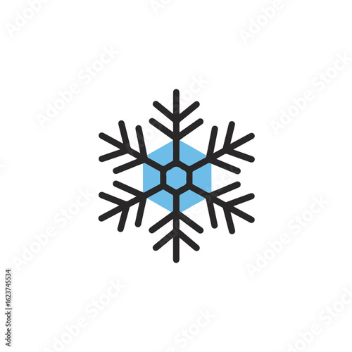 A single snowflake in a geometric design.