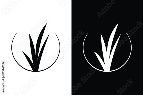 Lemongrass icon vector on White Background ,Vector Art Illustration on white background.