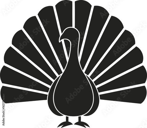 Stylized black turkey with fanned tail feathers on white background bird fowl