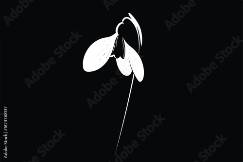 Elegant Snowdrop Flower Silhouette on Black Background Symbolizing Hope and Purity for Spring Season Designs