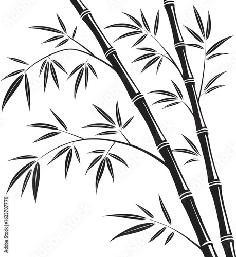 bamboo vector illustration on white background 