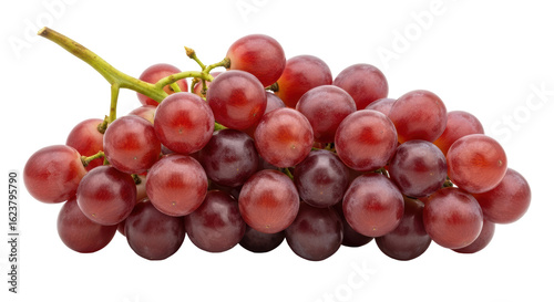 Canvas Print Isolated red grapes