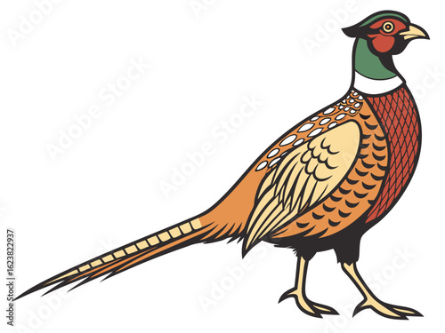 Illustration of a colorful pheasant with vibrant plumage walking gracefully across a white background scene created with generated ai