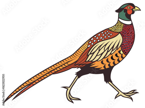 Illustration of a pheasant with colorful plumage walking to the right on a white background image created with generated ai