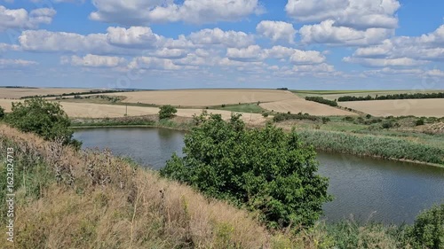 A river with trees and grass