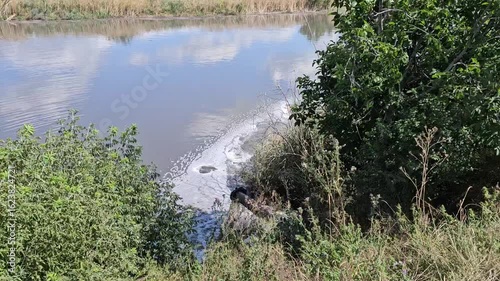 A waterfall in a forest