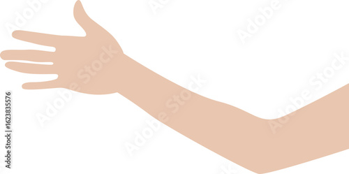 Human elbow
