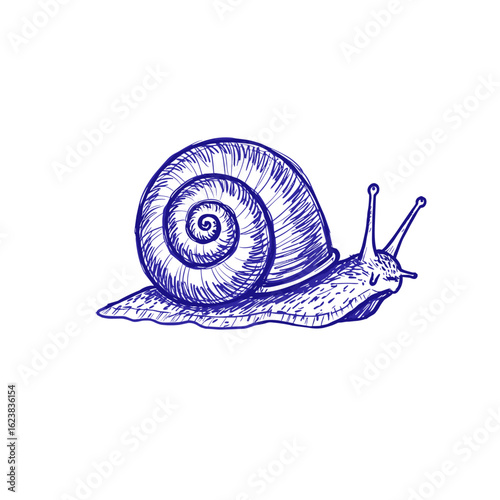 Blue ballpoint pen doodle  snail hand drawn sketch 