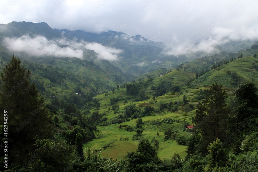 Naklejka premium Misty Peaks Overlooking Green Terraced Fields 
