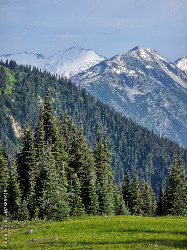 Fototapeta premium Scenic Mountain Range with Forested Landscape and Snow-Capped Peaks