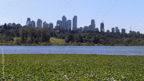 Foto Highrise buildings on the horizon and lake overgrown with green leaves