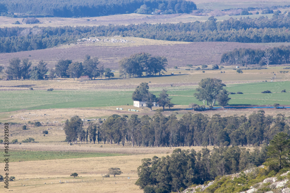 Fototapeta premium Paisaje campestre