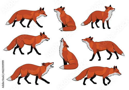 Stylized Red Foxes in Various Poses Showing Distinctive Fur and Tails.