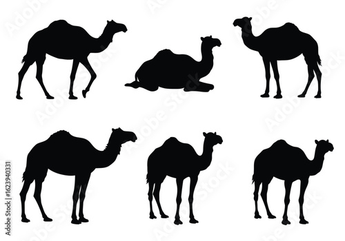 Collection of Black Silhouette Camels in Various Poses.