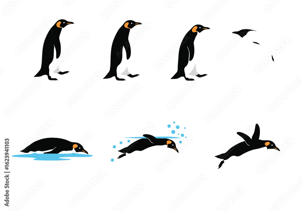 Fototapeta premium Emperor Penguin in Various Actions: Standing Jumping Diving and Swimming.
