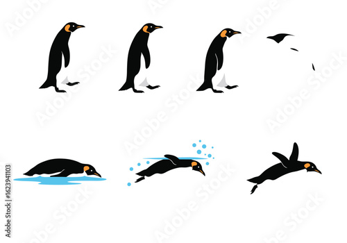 Emperor Penguin in Various Actions: Standing Jumping Diving and Swimming.