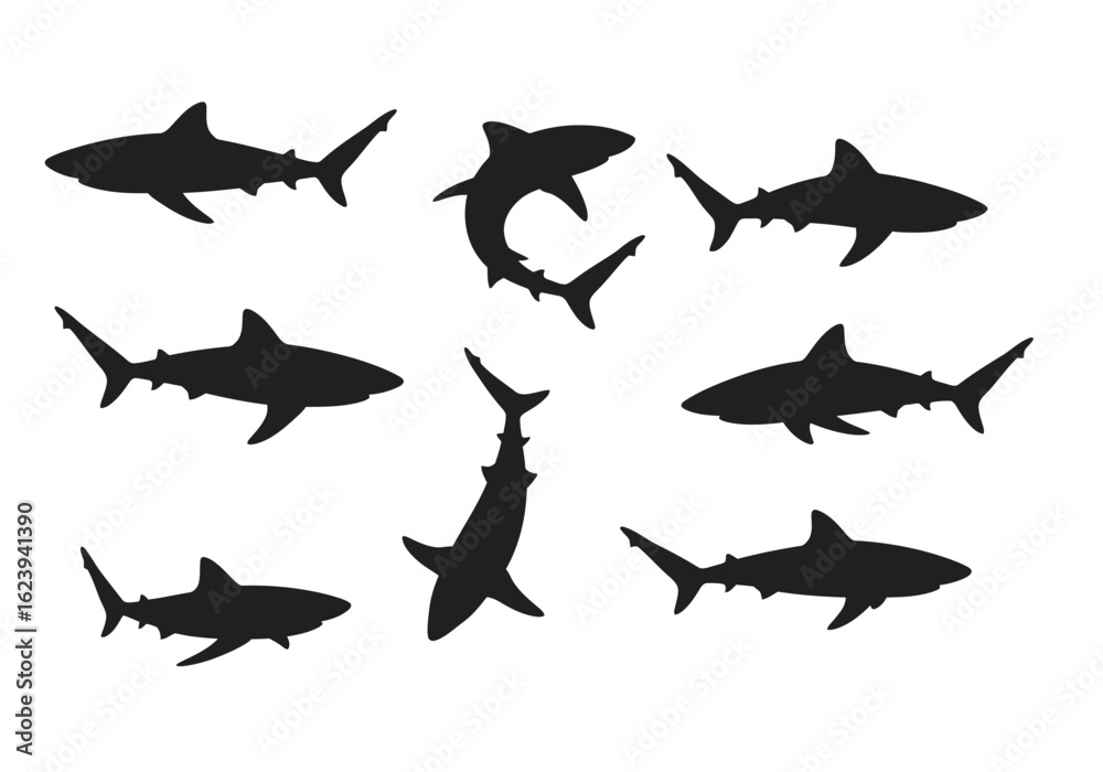 Fototapeta premium Shark Silhouettes: Marine Predators in Various Poses Black Vector Graphics.