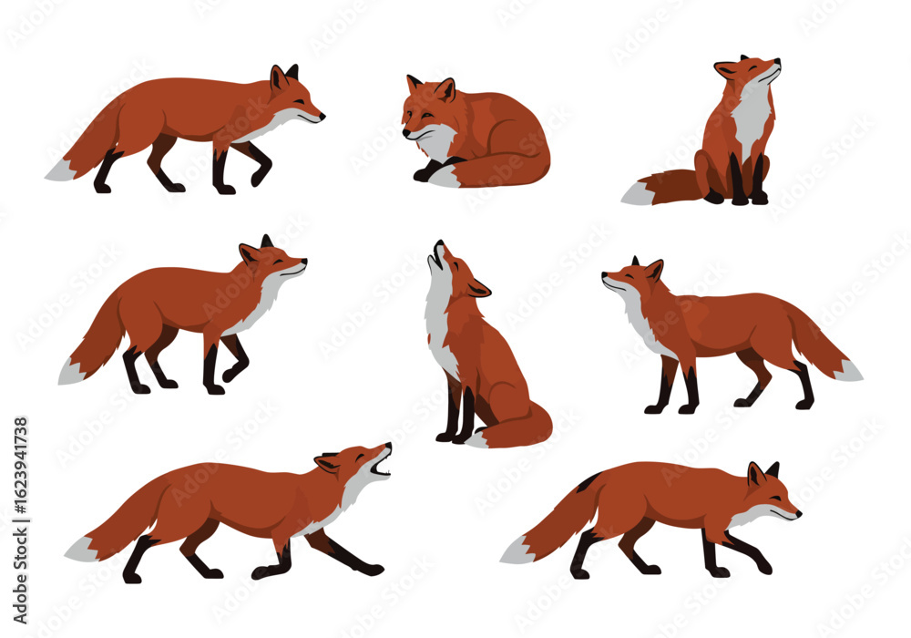 Obraz premium Collection of Cartoon Red Fox in Various Poses.