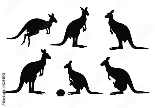 Silhouette Collection of Kangaroos in Various Poses and with a Joey.