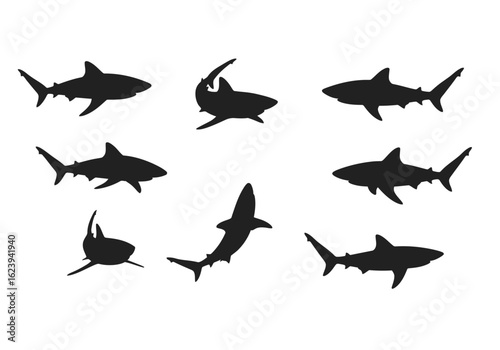 Silhouetted Sharks in Various Poses: Black Marine Animals Against White Background.
