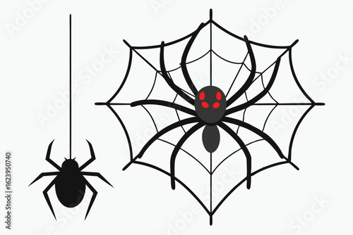 spider and web